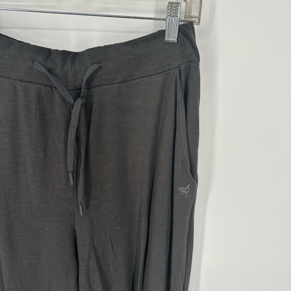 Cozy Earth Charcoal Gray Bamboo Viscose Joggers
Pants Loungewear Size Small - Picture 4 of 12
